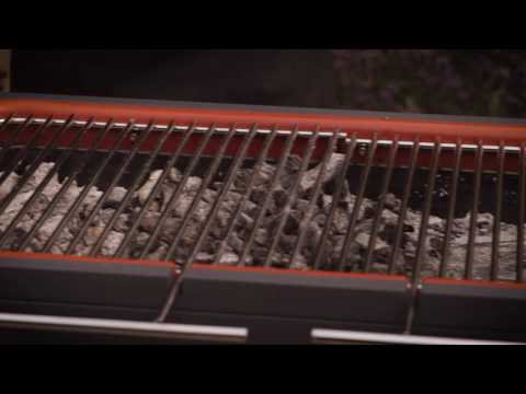 Everdure by Heston Blumenthal HUB Charcoal Electric Ignition Barbeque -  Grilling Steak
