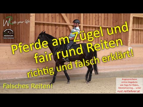 F141 Mit feiner Reiterhand Pferde am Zügel reiten lernen! Mentaltipps, Reiterfehler und Zügelfehler