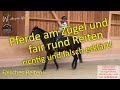 F141 Mit Feiner Reiterhand Pferde Am Zügel Reiten Lernen Mentaltipps Reiterfehler Und Zügelfehler