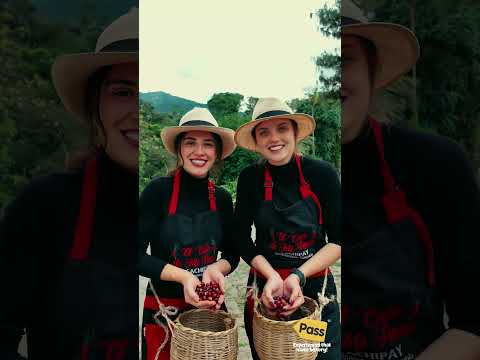Tour de Café en Cundinamarca VIP (Cachipay)