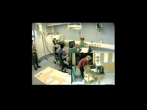 Donation after brain death