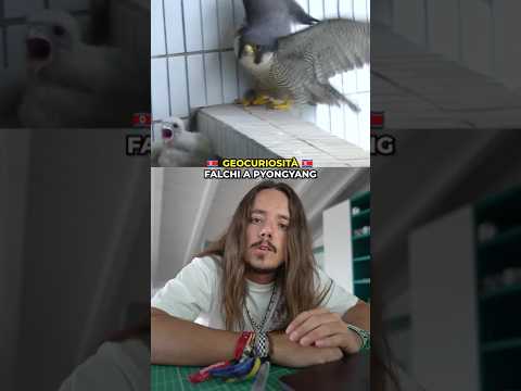 le notizie dei TG Nord Coreani 🇰🇵 #coreadelnord #geocuriosità #dprk