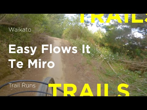 Easy Flows It Trail Run | Te Miro Bike Park, Waikato, New Zealand