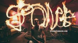 Sponge - All This and Nothing