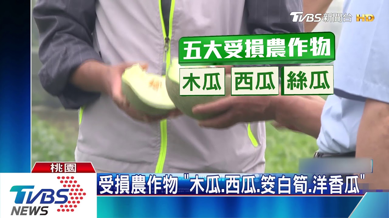 暴雨襲擊! 南投、新竹、桃園農損逾1600萬