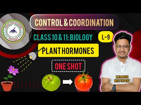 Proactive Academy Imphal Video 1