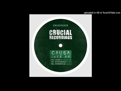 Causa - Minerals