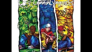 Interlude 2 - CunninLynguists