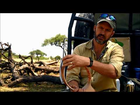 GPS satellite tracking as a research method, Trans Kalahari Predator Programme