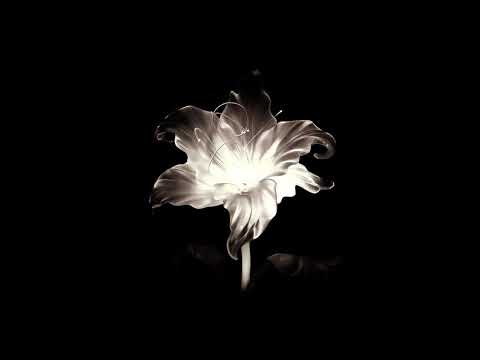 ✰ Sad Edit Audios because you’re tired… pt.6 (+Timestamps)