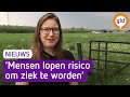 Kamerleden willen stop op geitengroei: 'Toon leiderschap'