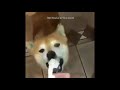 Videos Random 35