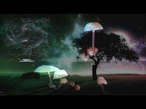 Odagled, Not Demure - Distork (Original Mix) [Musica Cavernicola]