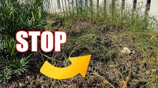 Kill Bermuda Grass Flower Beds