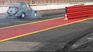 JUSSI`s -51 beetle