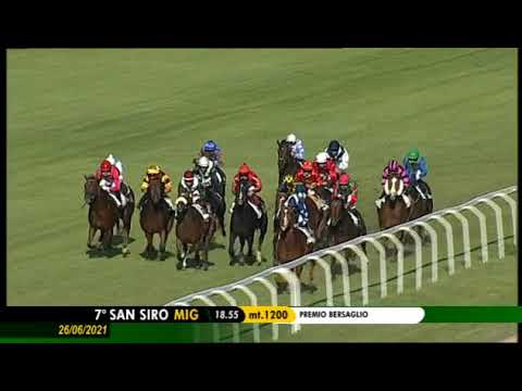 2021.06.26 Premio Bersaglio (ITA) - The Conqueror
