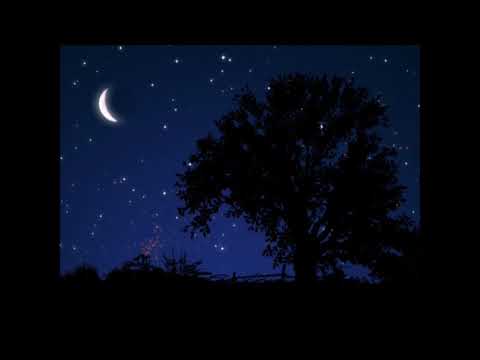 Terry Rice Milton - Opening Night 1970 ((Stereo))