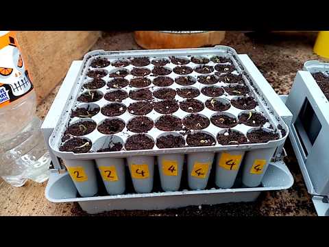 (112) The 2020 Seed Sowing Season Has Begun!