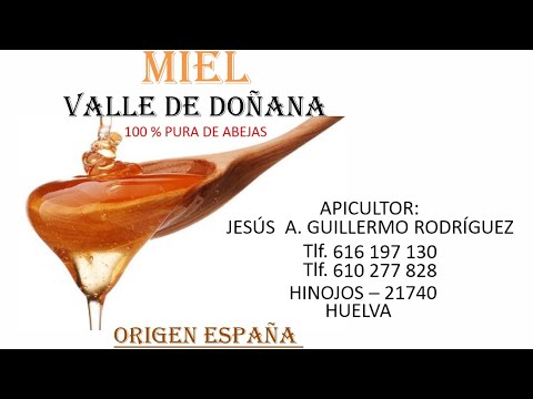 2 RFEF. GRUPO IV. Jornada 22. Miguel Ángel Ojeda