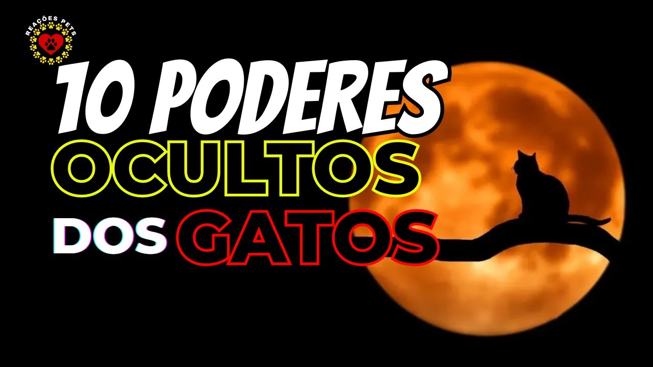 10 PODERES OCULTOS DOS GATOS 😻😻 EXPLICADOS PELA CIÊNCIA