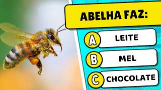 🚀 Perguntas de conhecimentos gerais para treinar seu cérebro - Quiz 🤓