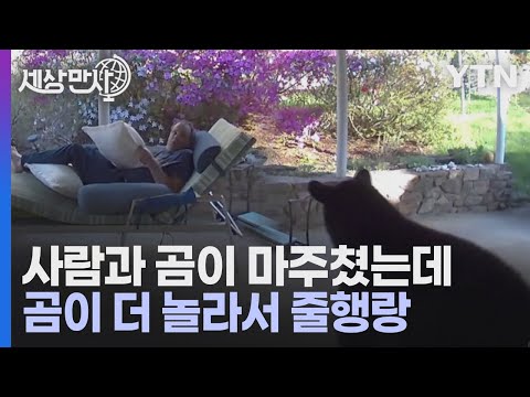 아이콘