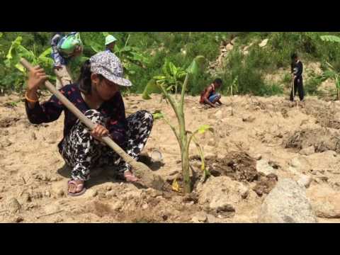 Camillian Rayong Care Center Farm Project