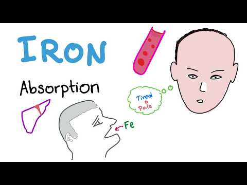 Iron Studies - Iron Absorption - Ferrous (Fe2+), Ferric (Fe3+), TIBC, Ferritin, Transferrin - Part 1