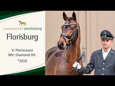 FLORISBURG v. Floriscount - Diamond Hit