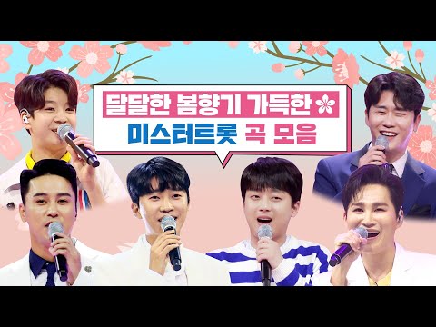 달달한 봄향기 가득한 미스터트롯 곡 모음