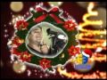Natal TV Cultura
