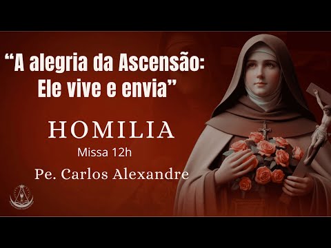 HOMILY MASS OF THE ROSES SAINT THERESE - 12h | Fr. CARLOS ALEXANDRE - 01/06/2025