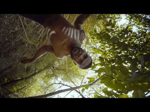 Gaela Brown, T'es ou Video Clip