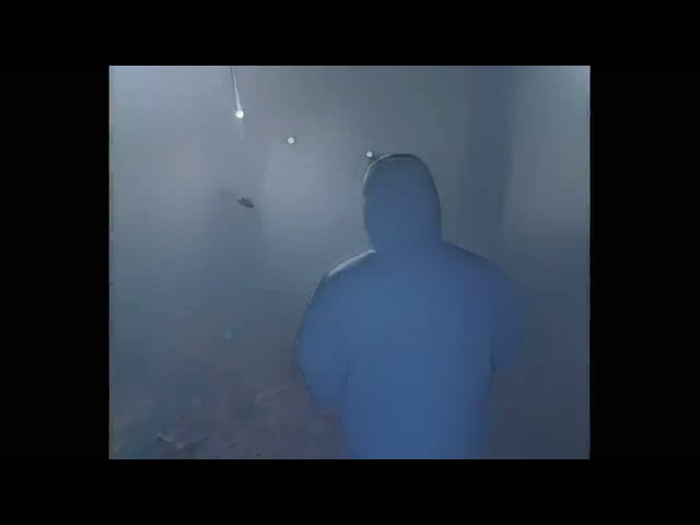 Lo-Fi For U von Tedua & Shune ((jetzt ansehen))