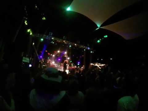 Orgone live at Guitar Fish 2016 - Beyond the Sun