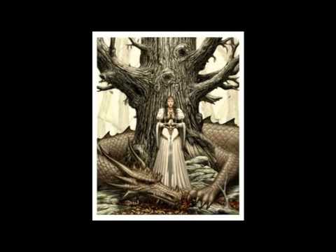 Cloutie Trees - The Wish Tree