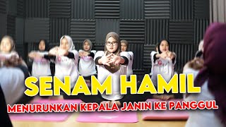 Download lagu Senam Hamil Menurunkan Kepala Janin Ke Panggul  || Bidan Adinda, Amd, Keb - Medikacare mp3