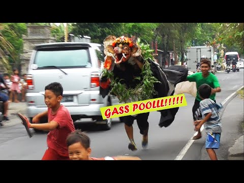 Tradisi Ngelawang di Sading, Dikejar Barong Bangkung