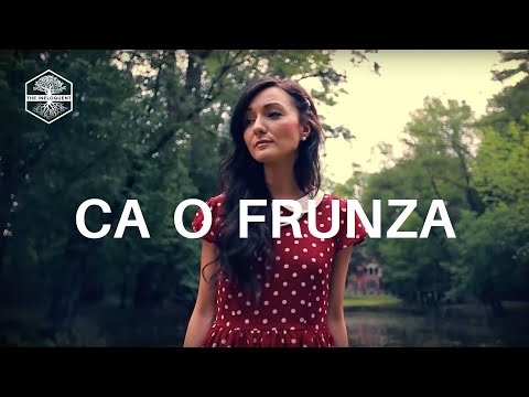 The Ineloquent - Ca O Frunza (Official Video)