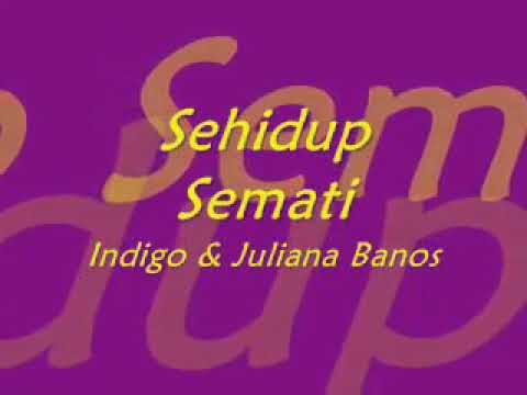 Sehidup Semati (Lirik) 😍❤