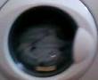 Beko Start Mini Wash