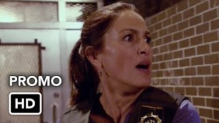 promo SVU 17x05