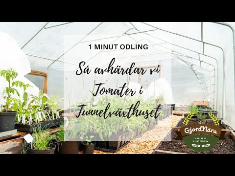 , title : 'Så avhärdar vi tomater i Tunnelväxthuset - 1minut odling'