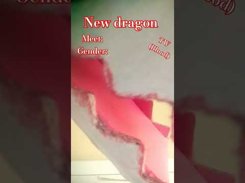 Tysm for306 subs! #dragonpuppets #newdragonpuppet #roadto400subs