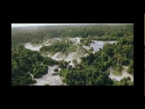 DESIDERATA (TheDerek894)