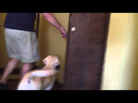 Aleli puts away shoes