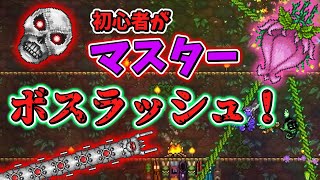 【テラリア】メカボスプランテラ一気に攻略していく！/初心者は教わりながらマスター攻略するってさPart10【ゆっくり実況】