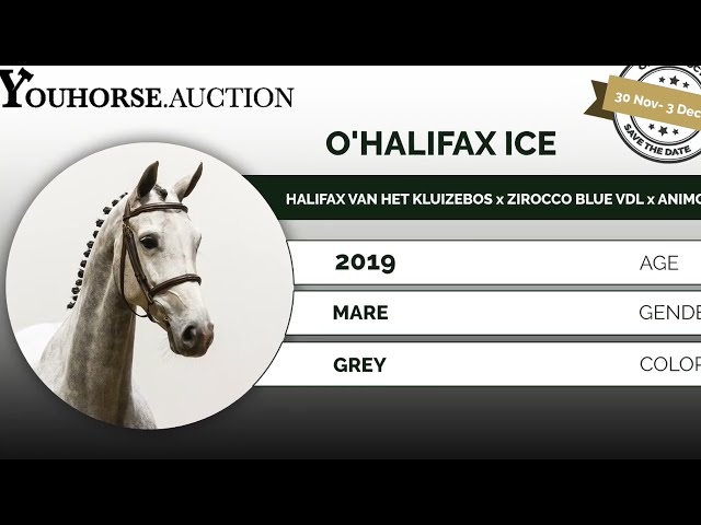 O'Halifax Ice try out