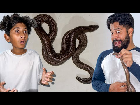 VAMPIRE YT KA SNAKE 🐍 1 SAAL BAD MIL GYA😨!! SYED FAHAD