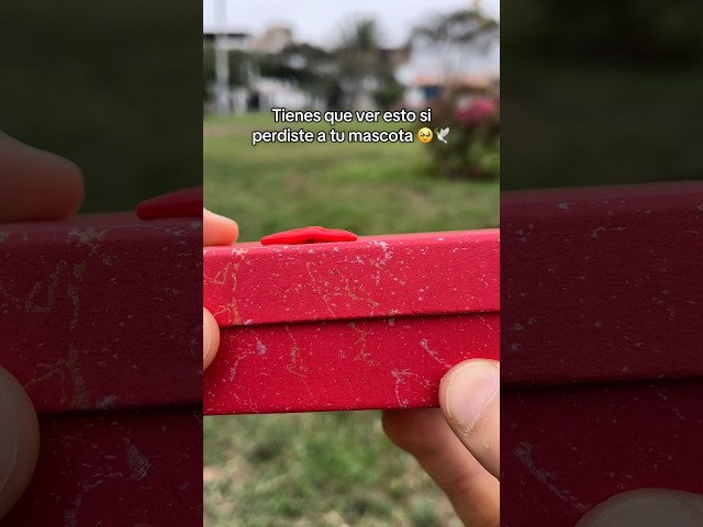 Vídeo relacionado con Only faith Collar de gatos Perro para mujer Acero Inoxidable huellas patas mascota. Con caja de regalo. Regalo amantes de mascotas Perro y Gatos (Infinito Huella Plateado)
